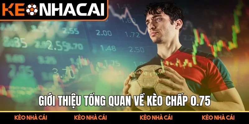 Kèo Chấp 0.75 Phân Tích Biến Động Giúp Hiểu Rõ Ưu Thế 1 Giới thiệu tổng quan về kèo chấp 0.75