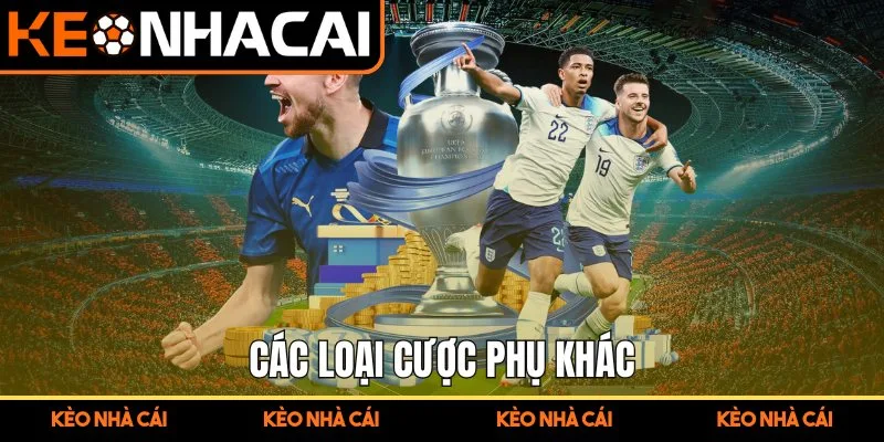 Trang Chủ 14 Các loại cược phụ khác